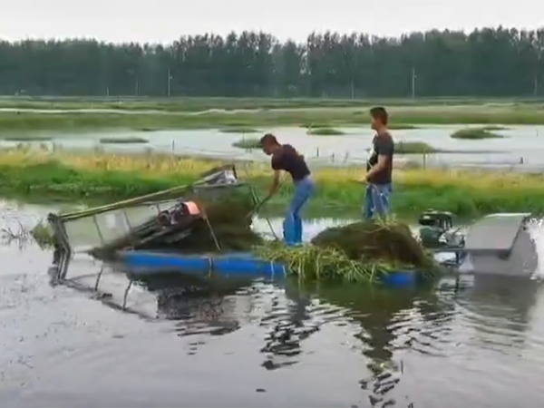 小型割草船